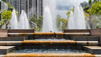 The dancing water in the Fountain Plaza does not only serve as an aesthetic appeal and focus of the area, but also a supply of clean water for wildlife like birds.